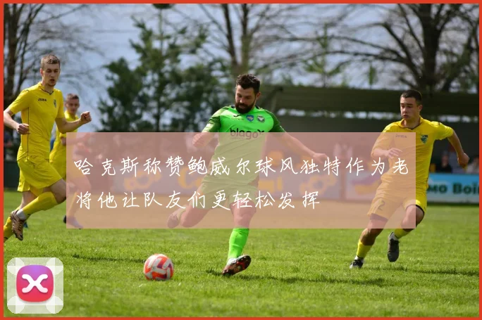 哈克斯称赞鲍威尔球风独特作为老将他让队友们更轻松发挥