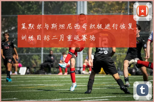 莱默尔与斯坦尼西奇积极进行恢复训练目标二月重返赛场