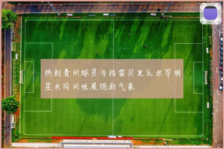 热刺青训球员与格雷贝里瓦尔等明星共同训练展现新气象