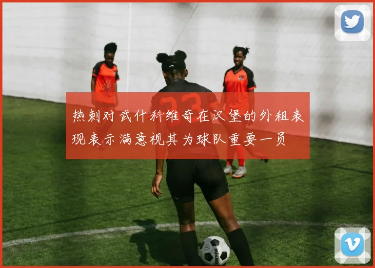 热刺对武什科维奇在汉堡的外租表现表示满意视其为球队重要一员